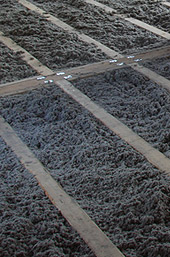 ouate de cellulose en isolation